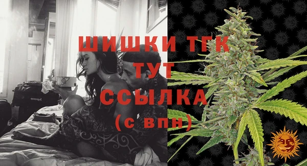дурь Пестово
