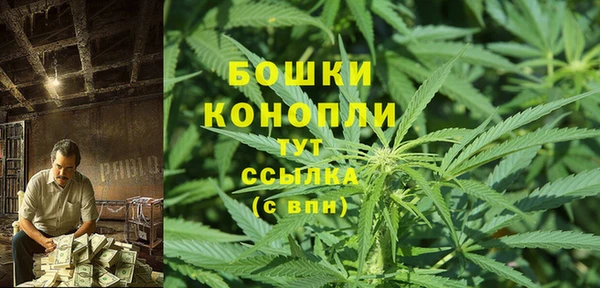 дурь Пестово