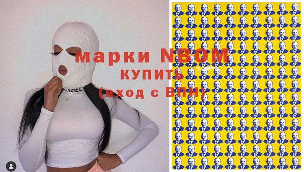 дурь Пестово