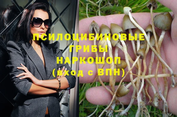 дурь Пестово