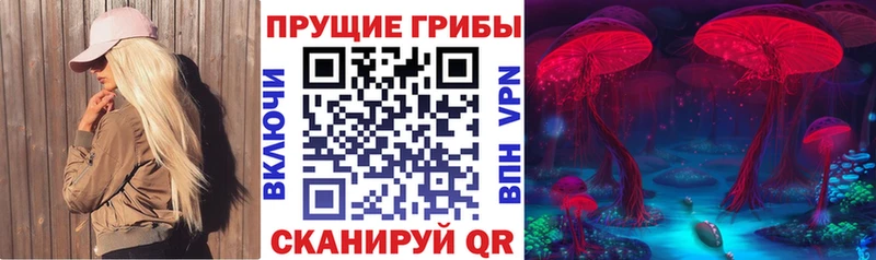 Псилоцибиновые грибы Psilocybine cubensis купить наркотики сайты Ликино-Дулёво